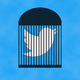 Image for article titled Twitter's 'Sensitive Accounts' Feature Is Already a Perplexing Mess